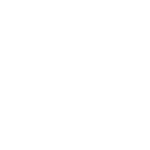 icon-institucional